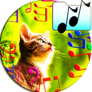APK Sounds To Attract Cats Joke