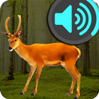 ikon Umpan untuk rusa rusa terdengar untuk berburu
