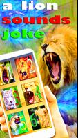 Sounds Of Lion and Tiger Joke plakat