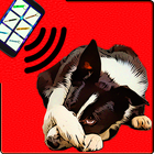 ultradźwięk Dla psów żart ikona