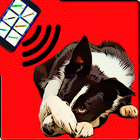 Ultrasound for Dogs Joke icon