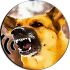 Scare Cats Barking Sounds Joke icon