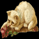 Моя говорящая кошка Ангелина icon