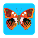 Butterfly Game for Toddlers APK