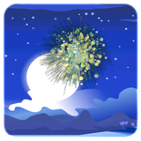 Fireworks icon