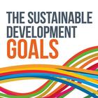 Sustainable Development Goals आइकन