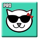 Guide for Kitty Live Streaming APK