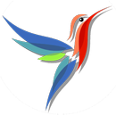 Colibri - Telegram unofficial aplikacja