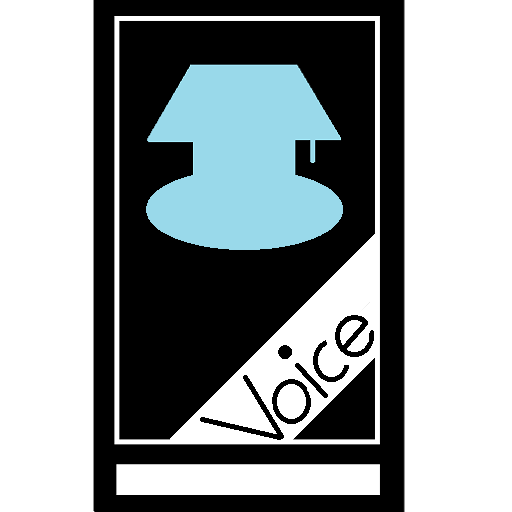 Voice nightlight/flashlight