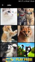 Cat Wallpapers (4K, Full HD) : Soft & Cute اسکرین شاٹ 3