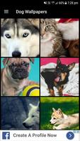 Dog Wallpapers 포스터