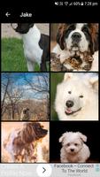 Dog Wallpapers اسکرین شاٹ 3