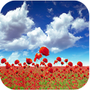 1,023 Flowers Live Wallpapers APK
