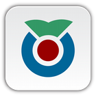 Wiktionary icono