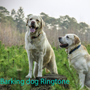 Barking dog Ringtone: mobile ringtone app. APK