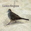 Cuckoo Ringtone: phone ringtone app.