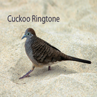 Cuckoo رنات: تطبيق نغمة الرنين. أيقونة