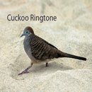 Cuckoo Ringtone: phone ringtone app. APK