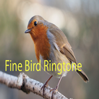 Fine Bird Ringtone: phone ringtone app icône