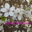 Spring Ringtone: phone ringtone app