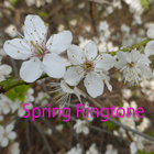 Spring Ringtone icon