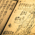 中醫大講堂 - 中醫學理與養生之道