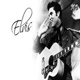 ”Elvis And Company