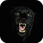 Black Panther Live Wallpaper ikon