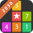 Block 2030 - Fun puzzle game APK