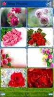 Rose Photos 포스터