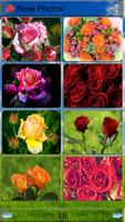 Rose Photos 스크린샷 1