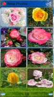 Rose Photos 스크린샷 2