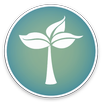 Organic-KWGT APK