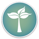 Organic-KWGT aplikacja