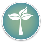 Organic-KWGT icon