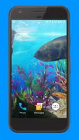 Oscar Fish Aquarium Video 3D-poster