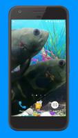 Oscar Fish Aquarium Video 3D تصوير الشاشة 2