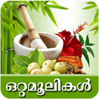 Naattuvaidyam-Ottamooli أيقونة