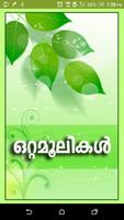 Ottamoolikal-Nattuvaidhyam in Malayalam পোস্টার