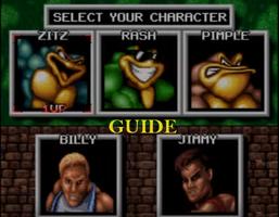 tips battletoads double dragon Affiche