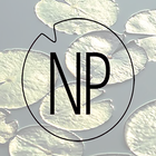 Ninfea Party icon