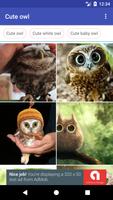 Cute Owl Wallpaper Affiche