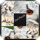 owl picture puzzle icône