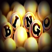 Bingo! APK