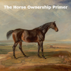 The Horse Ownership Primer icône