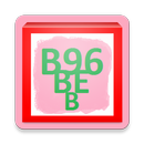APK Carnet B+E o B96