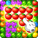 Appuyez sur le fruit juteux APK