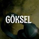 Göksel APK