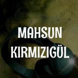 Mahsun Kırmızıgül