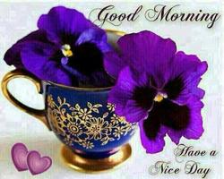 Love Good Morning screenshot 3